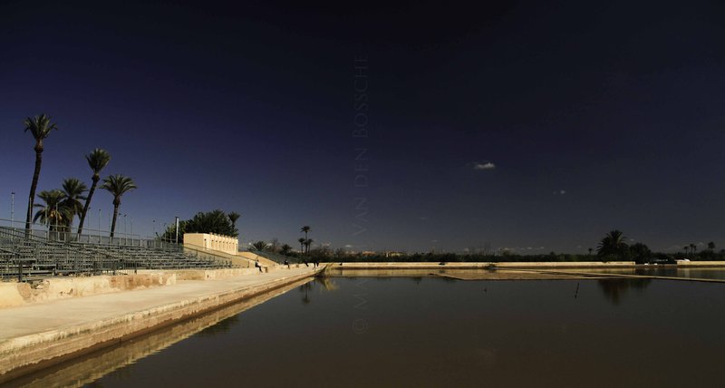 Menara Gardens reflecting pool and olive grove, Marrakech