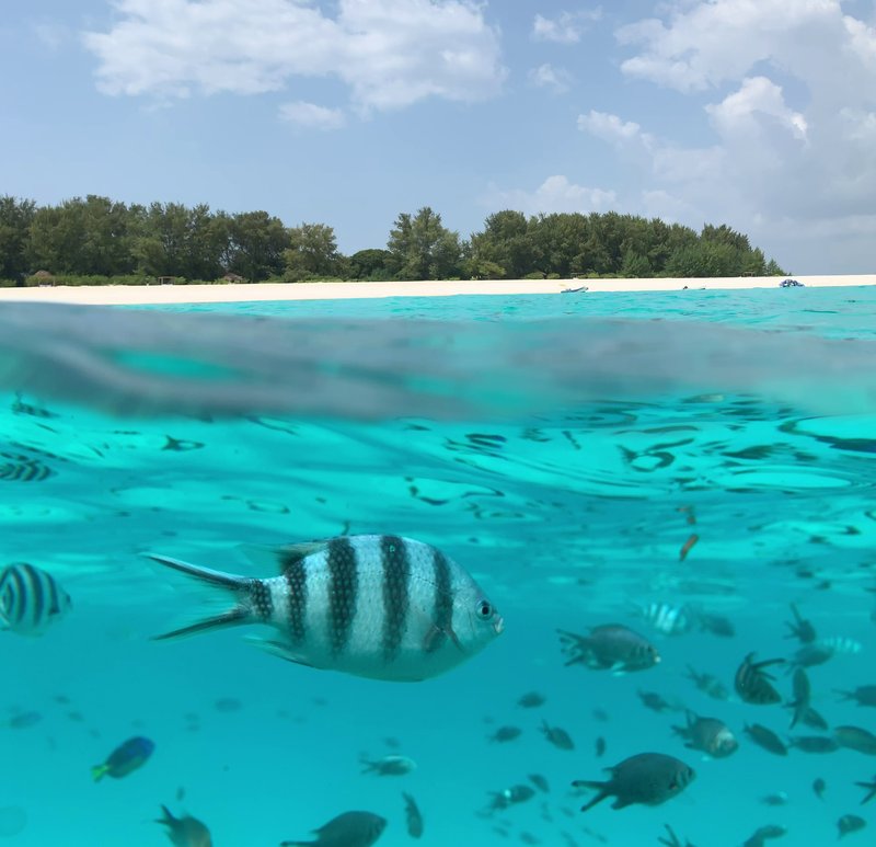 Mnemba Island off the coast of Zanzibar, Tanzania