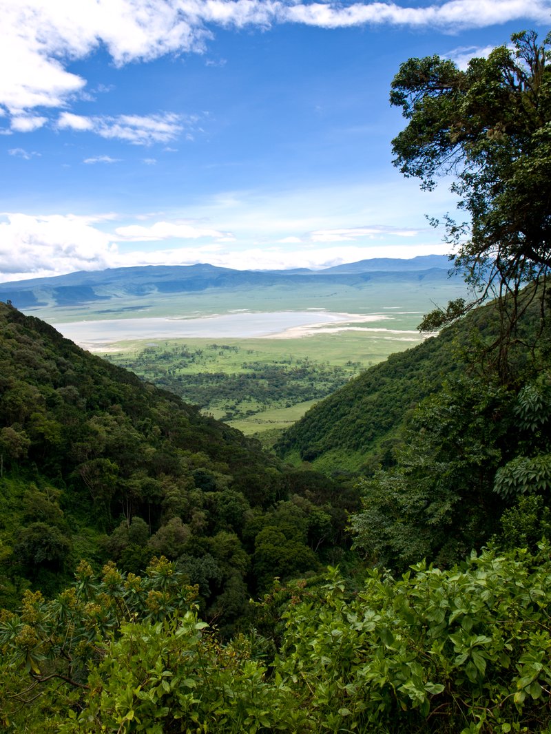 Aerial view of the Ngorongoro Crater and its resident wildlife, Tanzania