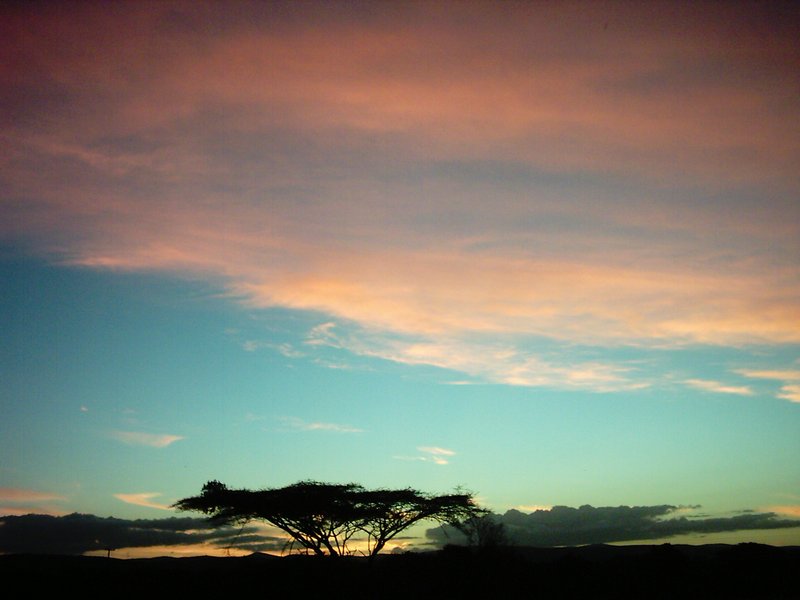 Dusk over Phinda Private Game Reserve, KwaZulu-Natal, South Africa