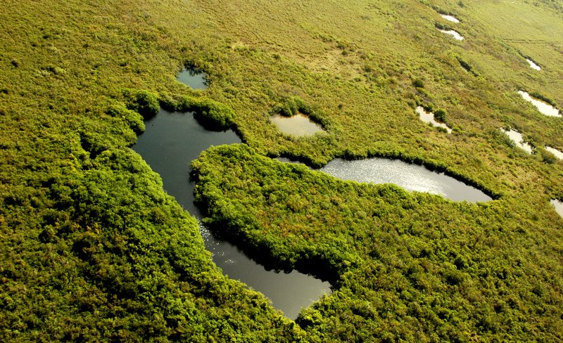 Cenote Ik Kil, a collapsed limestone sinkhole surrounded by jungle, Yucatán, Mexico