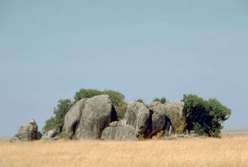 Rock kopje outcrops rising from the Serengeti plains, Tanzania