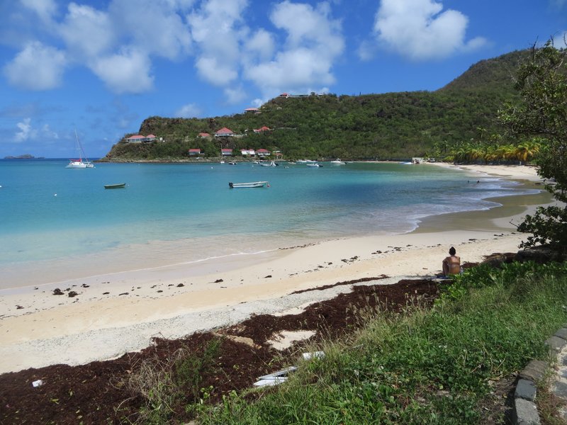 St Jean Bay coastline, Saint Barthélemy