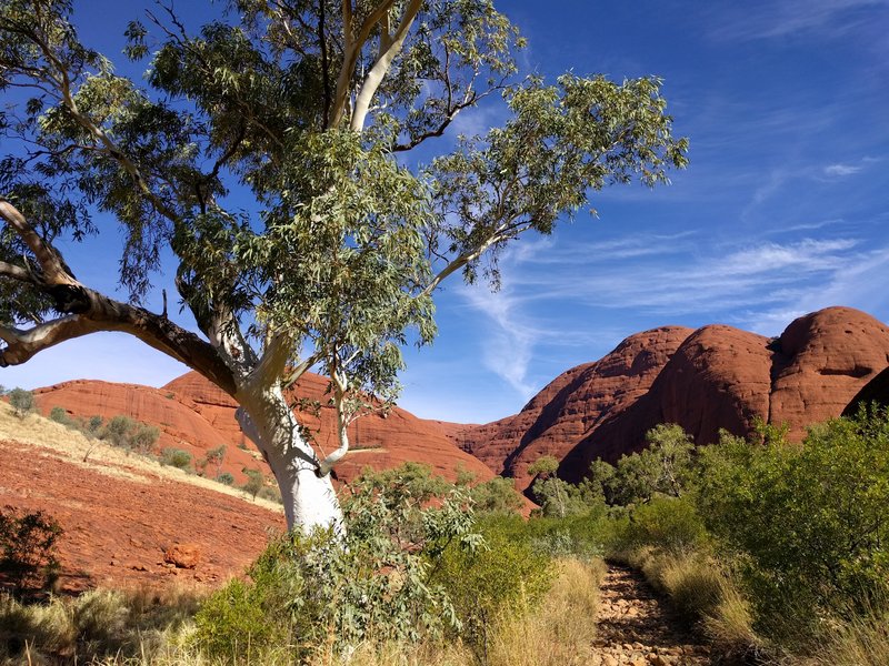 Kata Tjuta domed rock formations near Uluru