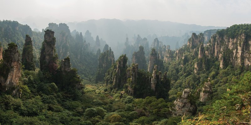 Towering sandstone karst pillars rising from Wulingyuan, Zhangjiajie
