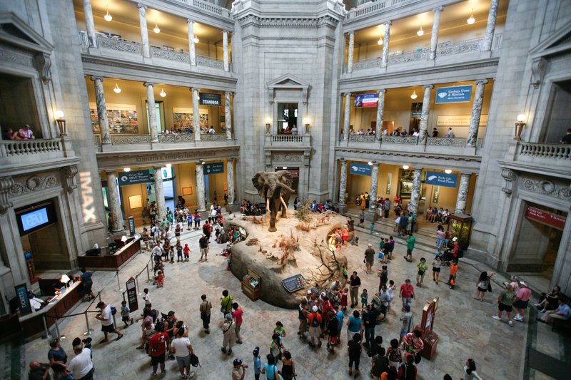 The Smithsonian National Museum of Natural History on the National Mall