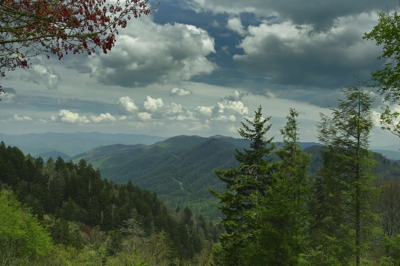 Forested ridges of Great Smoky Mountains National Park