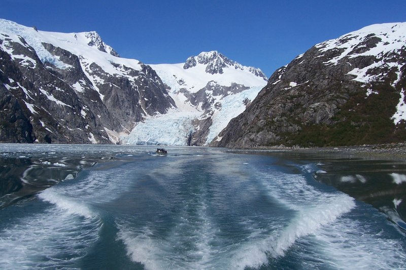 Tidewater glacier calving into a fjord in Kenai Fjords National Park