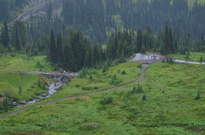 Wildflower meadows below Mount Rainier's glaciated summit