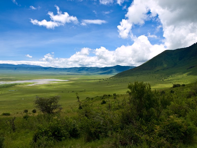 The Ngorongoro Crater floor seen from the caldera rim