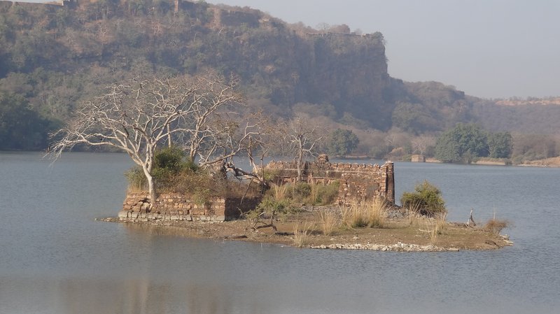Lake ruins with Ranthambore's hilltop fort in the background