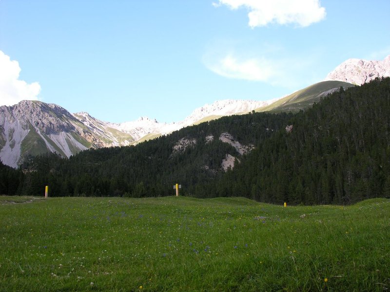 Alpine valley and peaks of the Swiss National Park in the Engadine