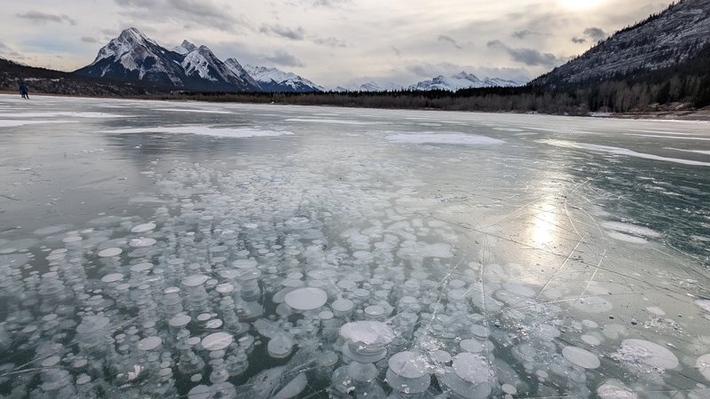 Stacked white methane bubbles frozen in the clear ice of Abraham Lake