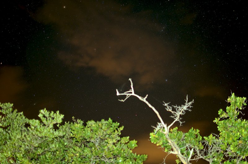 Mosquito Bay, the bioluminescent bay on Vieques, Puerto Rico