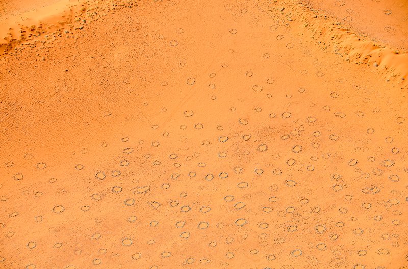 Aerial view of fairy circles dotting the Namib Desert grasslands