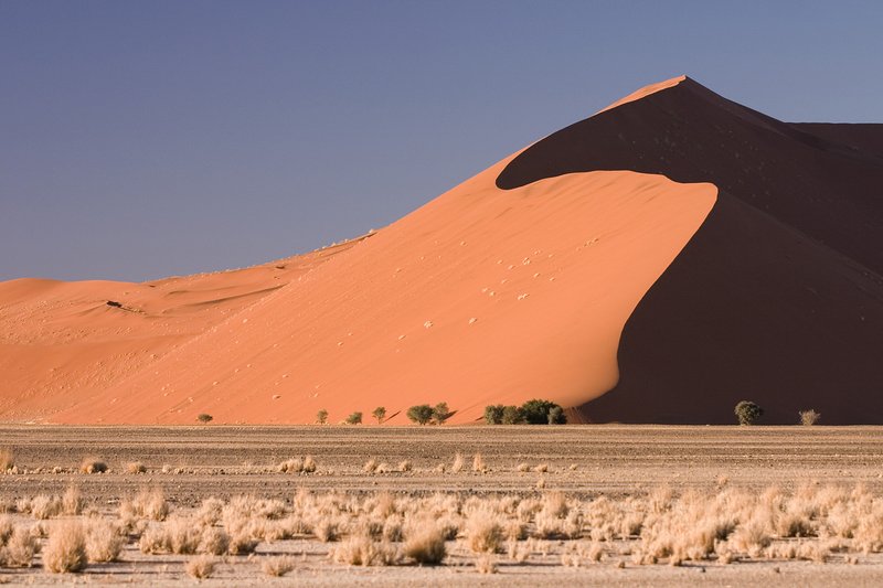 Dune 45, a red sand dune in Sossusvlei, Namibia