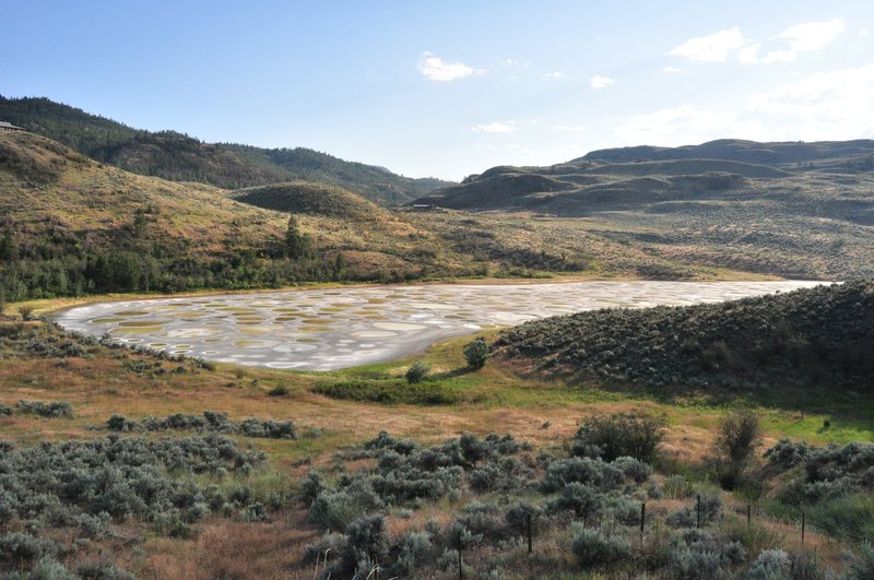 Colourful circular mineral pools on the surface of Spotted Lake near Osoyoos