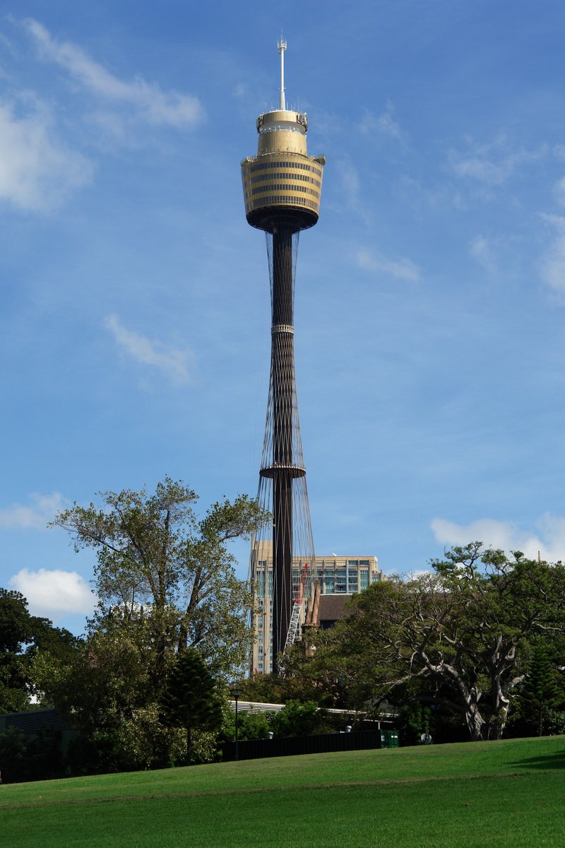 Sydney Tower rising above the city skyline