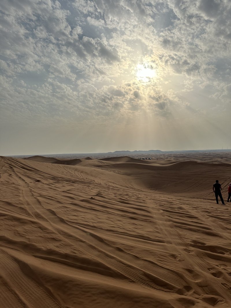 Dubai Desert Conservation Reserve
