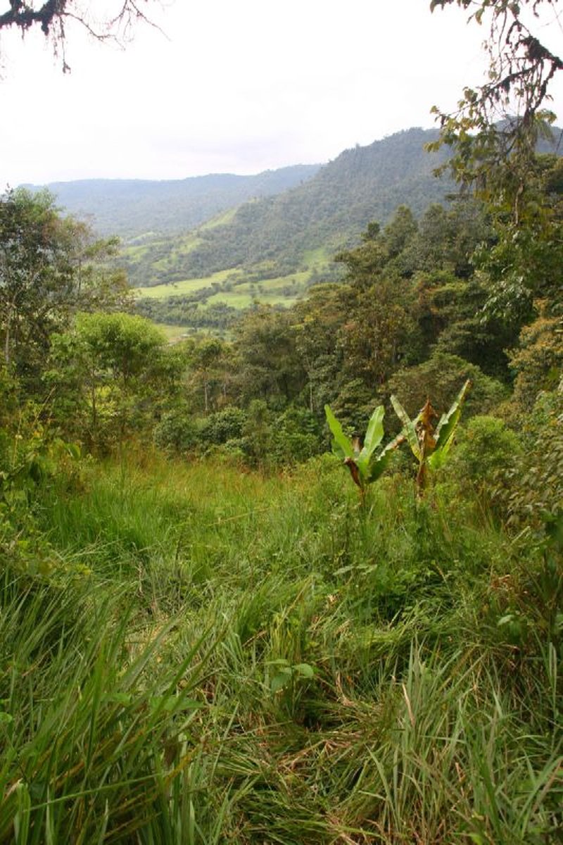 Mindo, Ecuador