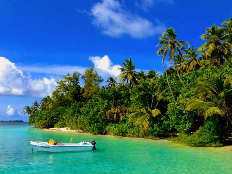 Biyadhoo