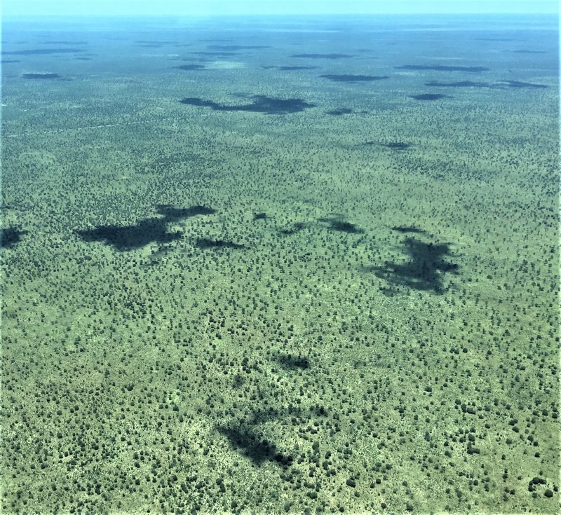 Aerial view of Chobe National Park, Botswana