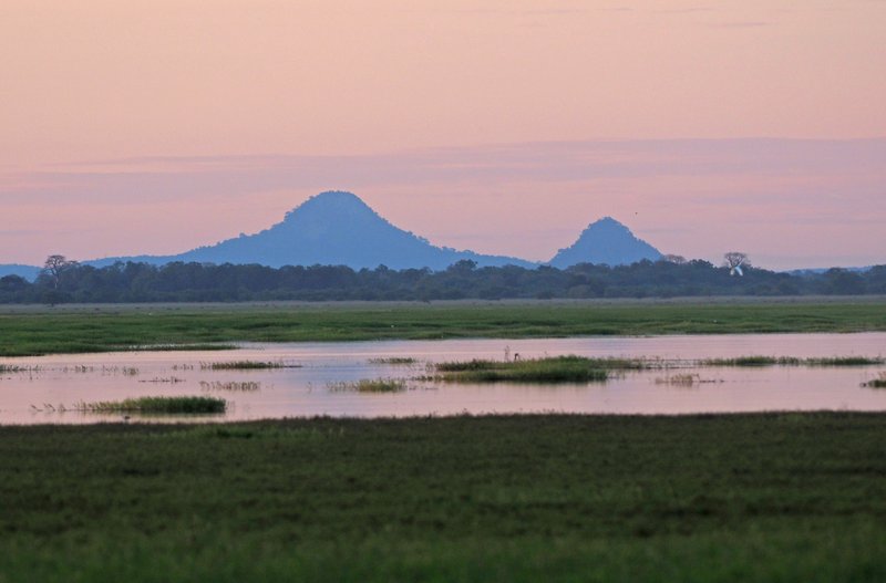 Mount Gorongosa at Gorongosa National Park, Mozambique