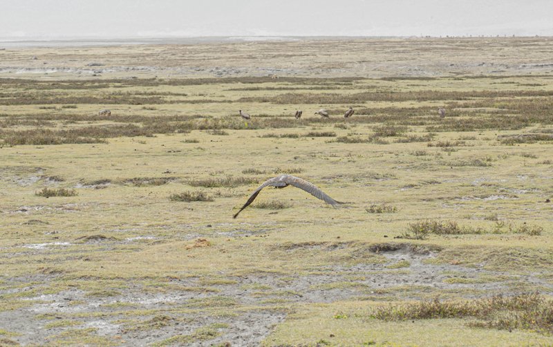 View into the Ngorongoro Crater, Tanzania