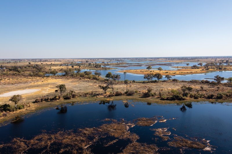 Aerial view of the Okavango Delta, Botswana