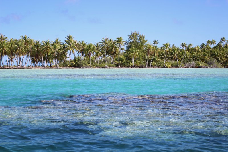 Turquoise lagoon and palm-lined motu at Fakarava atoll, French Polynesia