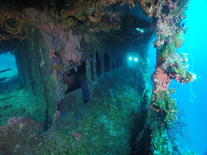 Deck of the sunken Fujikawa Maru wreck, Truk Lagoon, Chuuk