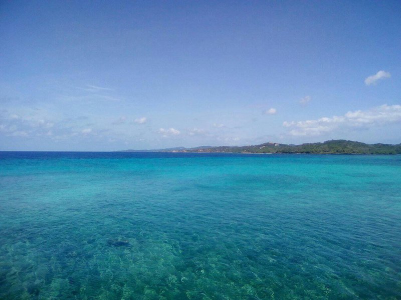 Clear turquoise reef water off the coast of Roatán, Honduras