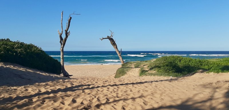 Dune path down to the beach at Sodwana Bay, South Africa