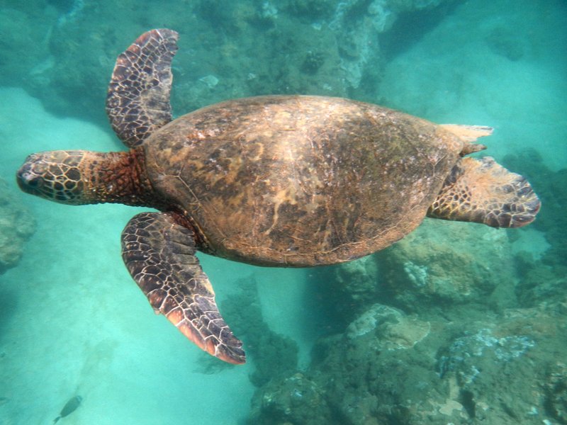 Tunnels Beach, Kauai
