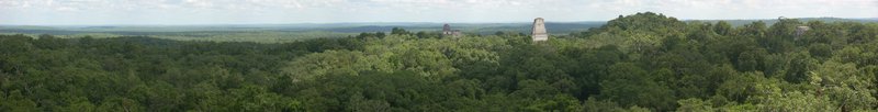 Tikal Temple IV rising above the jungle canopy in Guatemala