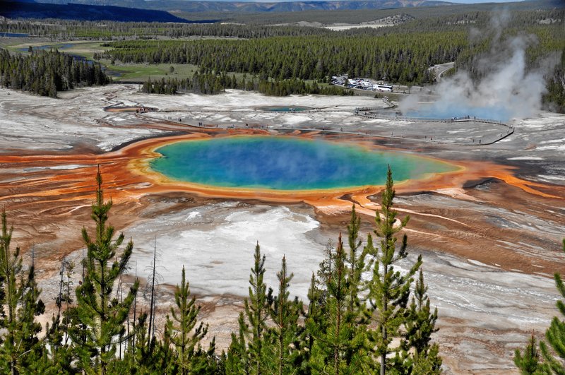 Grand Prismatic Spring's vivid colors at Yellowstone National Park