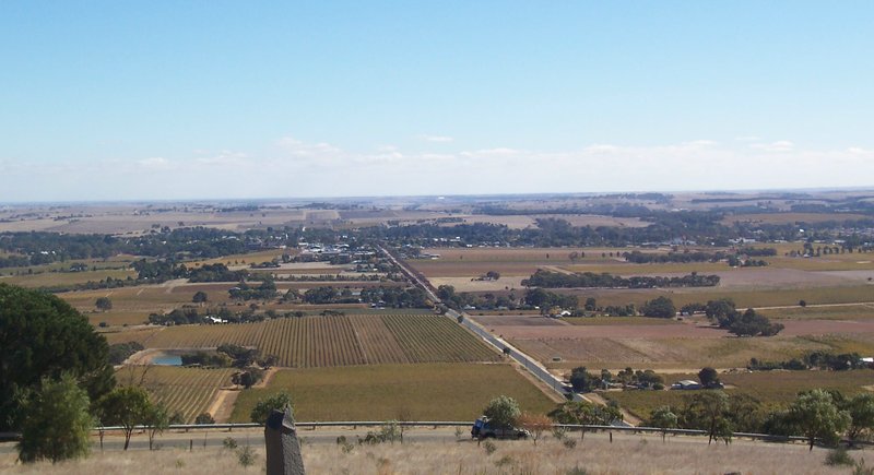 Vineyards and landscape of Tanunda in the Barossa Valley, South Australia