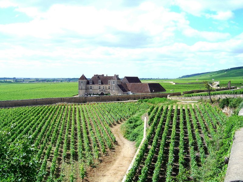 Clos de Vougeot, the iconic walled grand cru vineyard in Burgundy, France