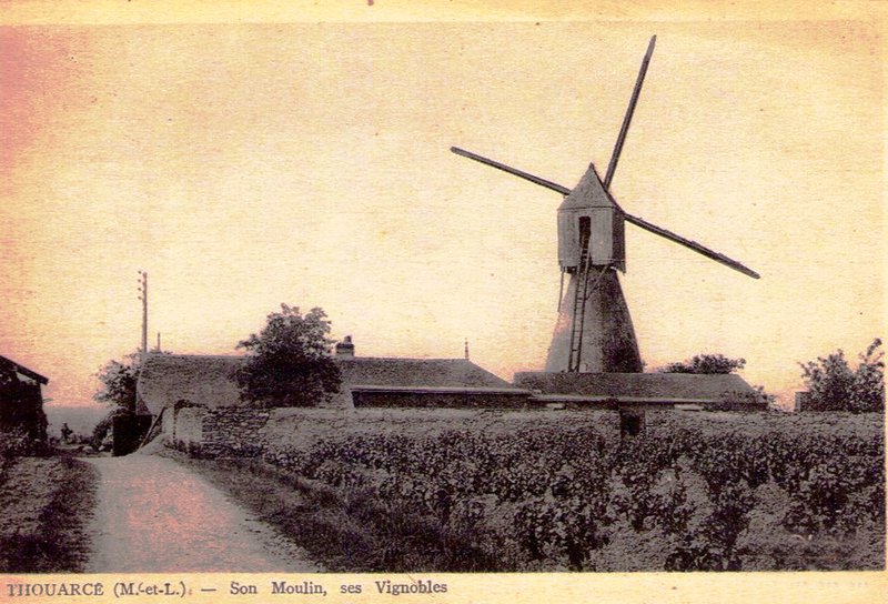 Windmill and vineyard at Thouarcé in the Bonnezeaux AOC, Loire Valley, France