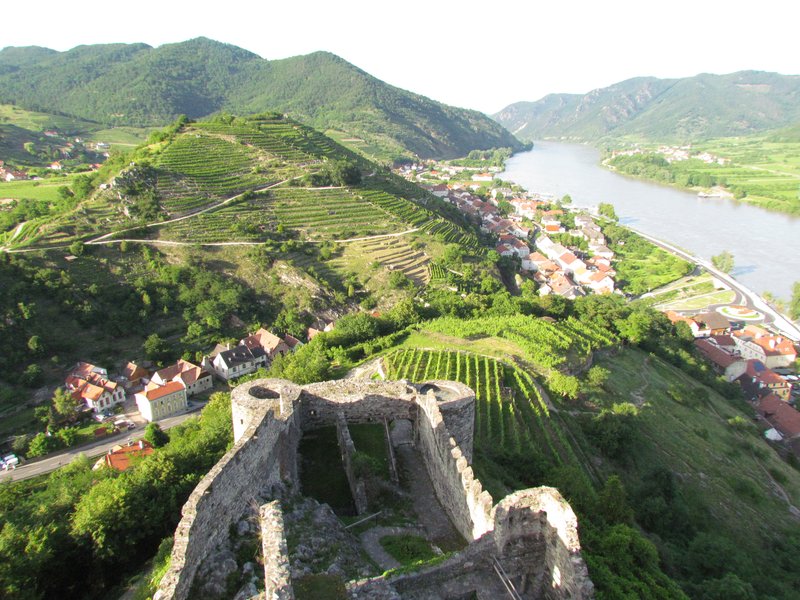 Terraced vineyards and the Danube River near Spitz in the Wachau, Austria