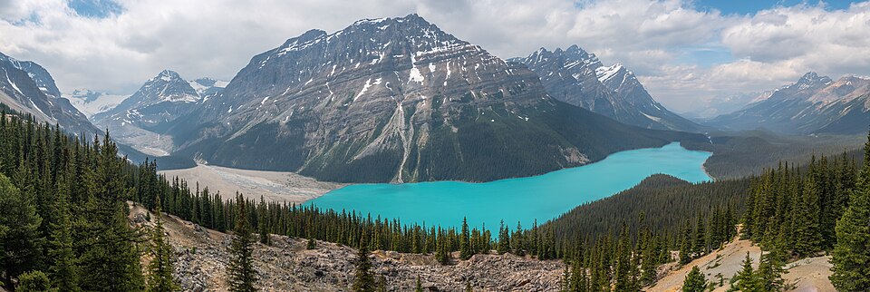 Peyto Lake panorama from Bow Summit