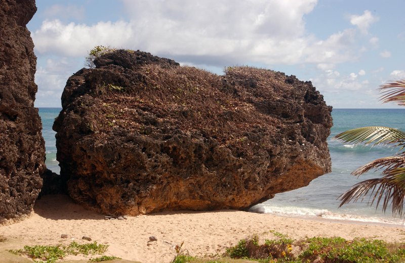 Bathsheba Soup Bowl — Atlantic boulders and coastline, Barbados