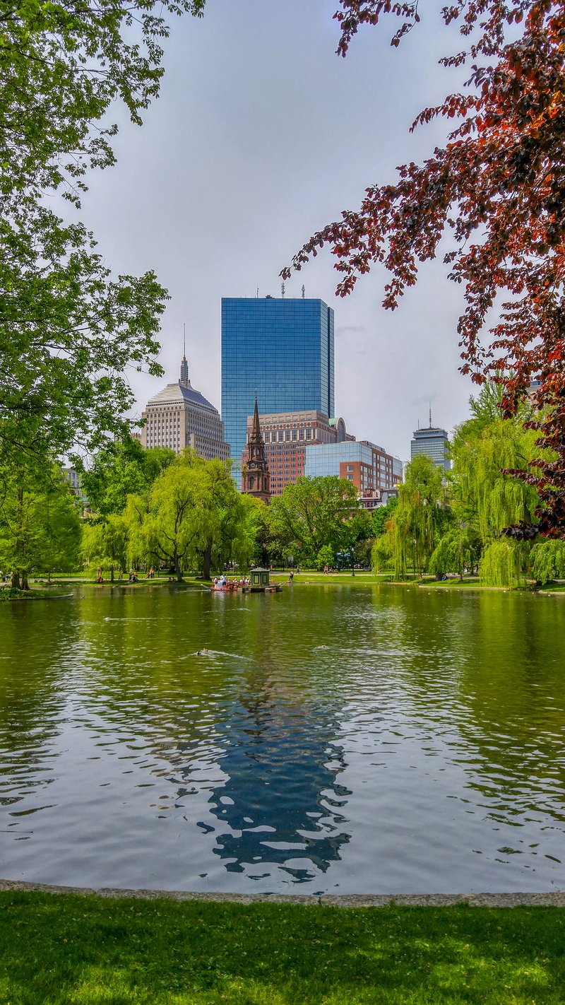 Boston Public Garden