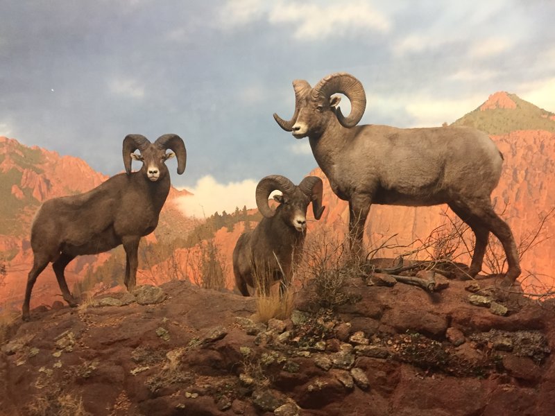 Denver Museum of Nature and Science