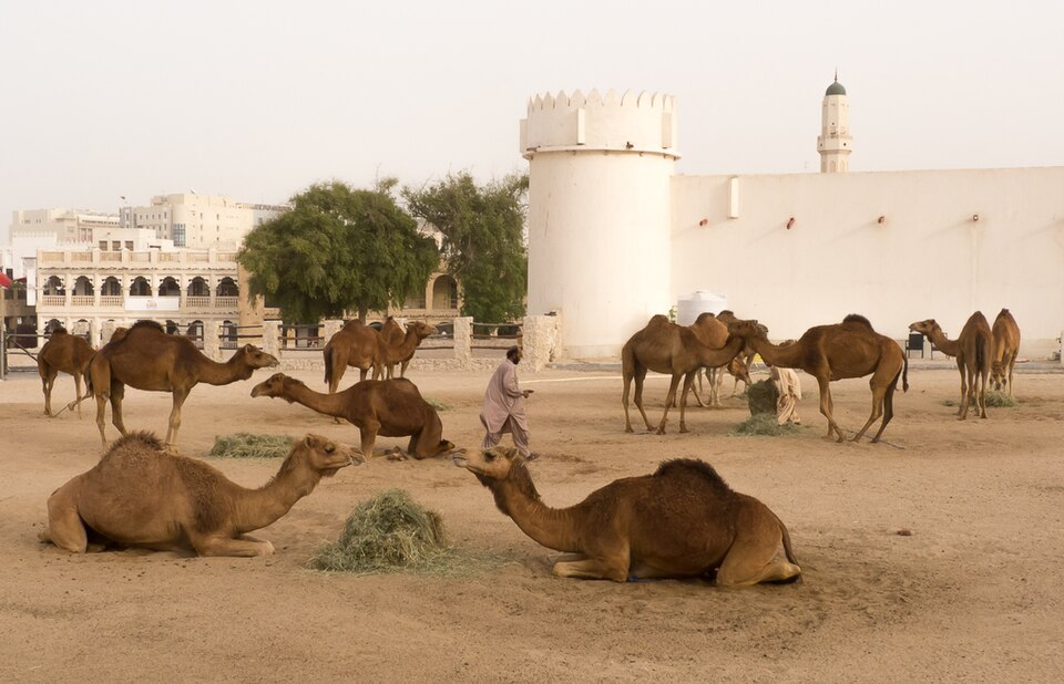 Al Koot Fort, Doha