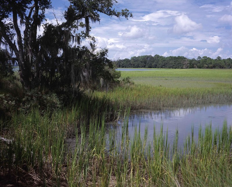 Pinckney Island NWR