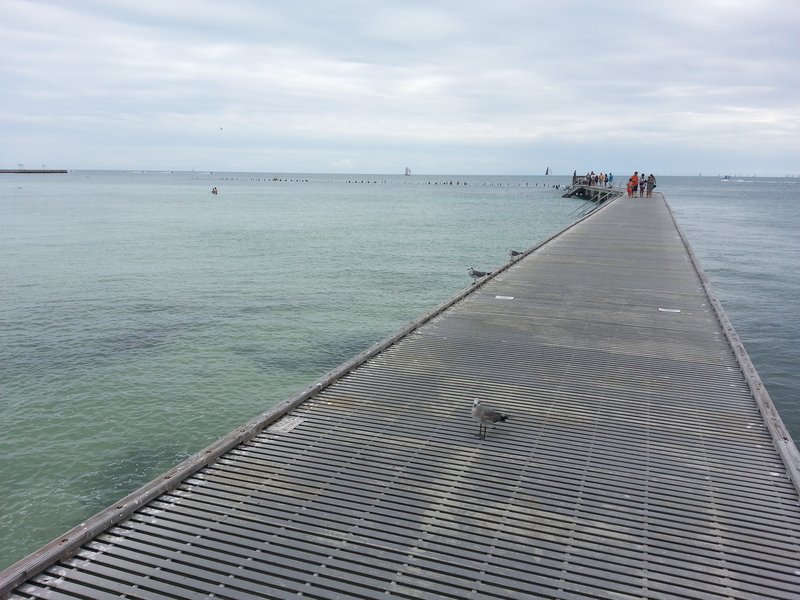 Higgs Beach, Key West