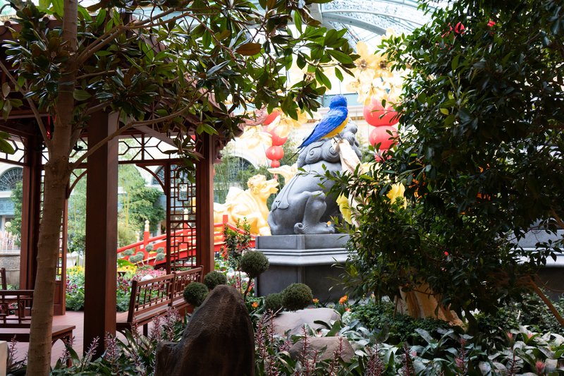 Bellagio Conservatory & Botanical Gardens