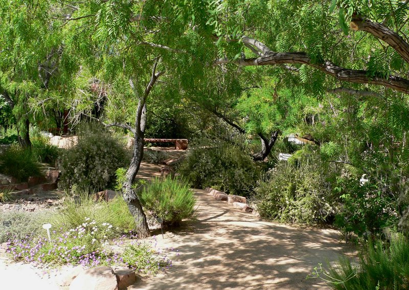 Springs Preserve