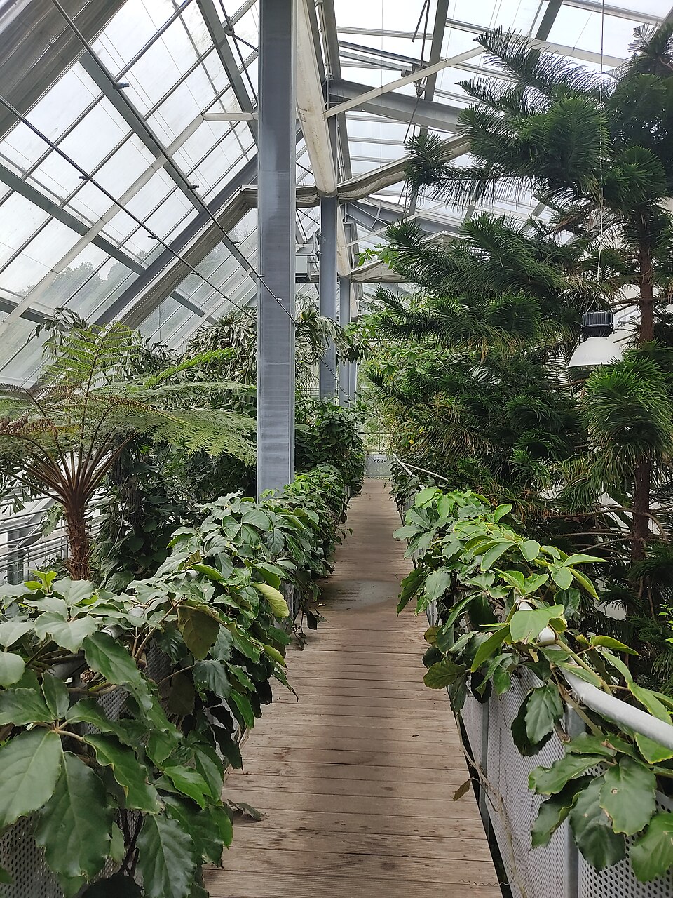 Ljubljana Botanical Garden